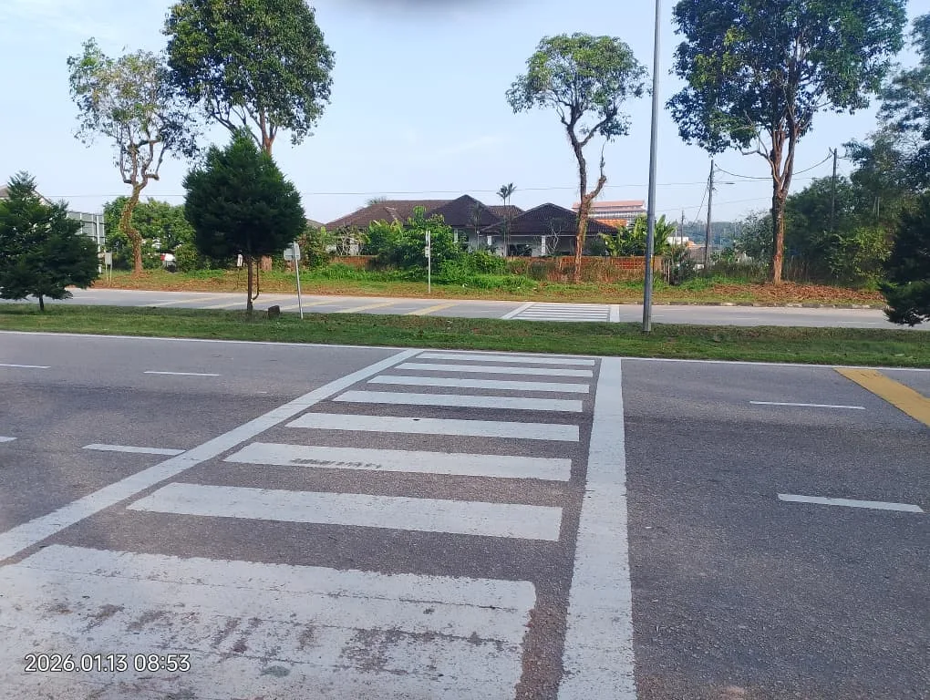 Laluan melintas jalan selepas pokok dipotong
